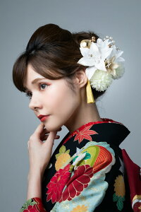 Up  Arenca Jbv蔯Zbg AJ l  Ǝ RT[W }hi[ 8354  kk-599ycpz