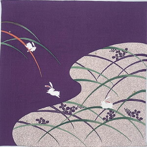 ނ C~ 68cm  [߂  ł TL