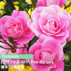 o@FL@sNACXo[O@ږ؁@2Nc@4@1@lC̃o@gQȂo@߂Ẵo@o@sNF̂킢o_Ƃ񂨂߃o@Lȃo