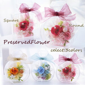 vU[uht[@pt[{g@ԁ@蕨@v[g@Mtg@v`Mtg@a@ސEj@LO@j