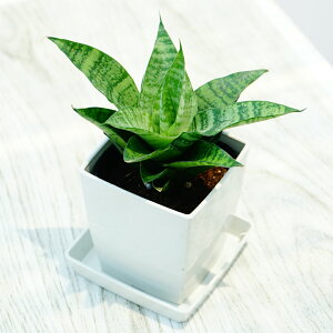 ϗtA@TZxA@nCubh@3@XNGA@Mt@1@e[uϗt@~jϗt@|@K[fjO