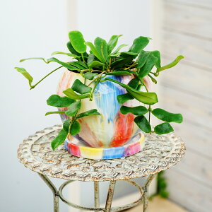 ϗtA@z@cfBtHA@13cm@픫@1@Mt@e[uϗt@~jϗt@|@K[fjO@Ai@󏭕i@nMO