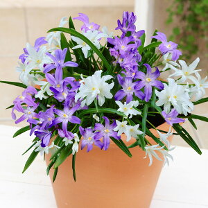 `ImhNT@VG@260i30+30j@F@`ImhNT@ԁ@HA@ԁ@@S҂ɂ߁@͔|ȒP@I_A@A