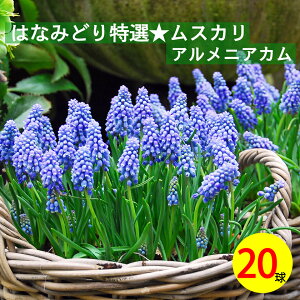 XJ@AjAJ@@20@XJ@XJ@AςȂHA@񂹐Aɍ@킢ԁ@@S҂łSS҂ɂ߁@