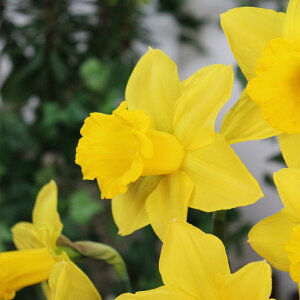 XCZ@^}@@3@Y@bp炫@@HA@F@|@K[fjO