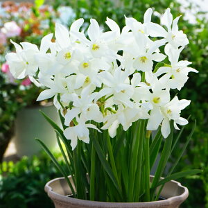 XCZ@^A@@3@Y@@XCZ@F@HA@|@K[fjO
