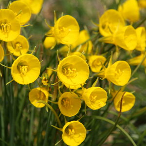 nXCZ@y`R[g炫@o{RW[@@Y@XCZ@@FXCZ@F@HA@|@K[fjO