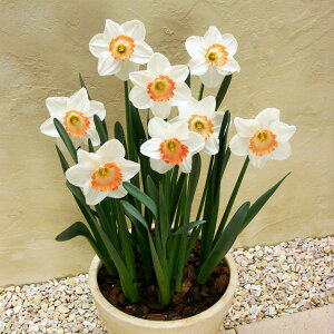 XCZ@sN`[@@3@Y@@HA@F@|@K[fjO