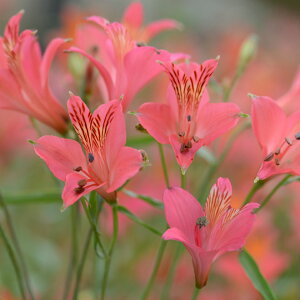 AXgA@@OcnCubh@~PXgC@[YVF[h@5@HA@|@K[fjO