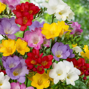 t[WA@Jt~bNX@@20@HA@ԁ@|@K[fjO
