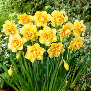 XCZ@^q`@3@d炫@@@HA@|@K[fjO