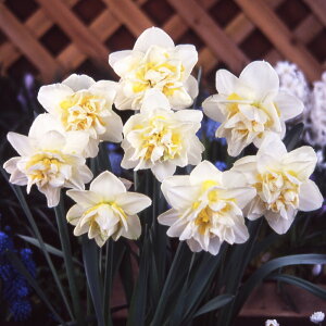 XCZ@zCgCI@3@d炫@@@HA@|@K[fjO