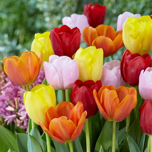 `[bv@C~bNX@412@F@A@`[bv@@܂@S҂ɂ߁@ȒP͔|@t@F킯