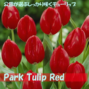 Iԃ`[bv@ԁ@5@10@20@`[bv@炭@{̃`[bv@bh@Jbv炫@ԁ@HA@Ԓd@񂹐A@|@K[fjO