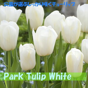 Iԃ`[bv@@5@10@20@`[bv@炭@{̃`[bv@zCg@Jbv炫@ԁ@HA@Ԓd@񂹐A@|@K[fjO