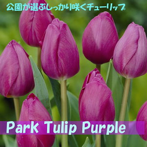 Iԃ`[bv@@5@10@20@`[bv@炭@{̃`[bv@p[v@Jbv炫@ԁ@HA@Ԓd@񂹐A@|@K[fjO