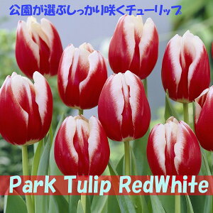 Iԃ`[bv@Ԕ@5@10@20@`[bv@炭@{̃`[bv@bh@zCg@Jbv炫@ԁ@HA@Ԓd@񂹐A@|@K