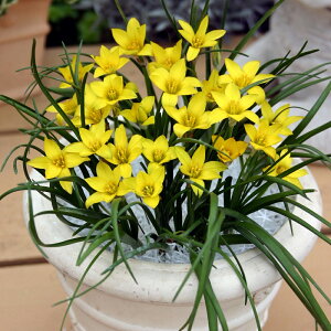 AςȂ@ԃACtFCI@ZEBAk@@AςȂŖN炭@HA@CG[@@߁@ȒP