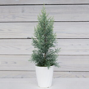 NvbTX A]jJ TtA 4 1 Rjt@[ ~^  V{c[  ϊ΍ ͂Ȃ݂ǂ