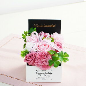 V{t[@GKgV{BOX@S@sN@\[vt[@1@Mtg@v[g@ԁ@CeA@Ό