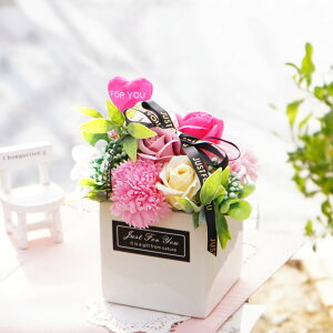 V{t[@|b^[BOX@sN@n[gsbNt@\[vt[@1@Mtg@v[g@ԁ@CeA@Ό