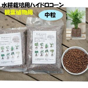 nChR[@@500ml@1L@1܁@k͔|@ϗtA@Aݍށ@nCh{[@nChJ`[