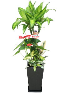 ϗtA@hZi@}bT@񂹐A@7@픫@1@Mtg