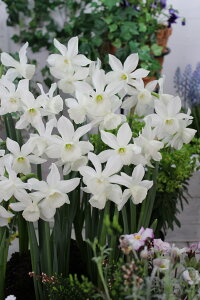 萅@@XCZ ^A@5@F@HAY