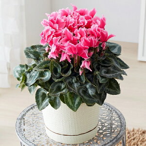 VN@J[[C`tNVA@5@1@Ε@NX}X@Mtg@v[g