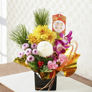 y\tJnzy1225()z 2026N ԃAWg STCY ʂމVN  }t t[AWg ̂܂܏  Mtg v[g ͂Ȃ݂ǂ