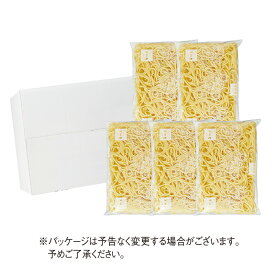 博多華味鳥 ちゃんぽん麺（5個）【公式通販】【クール便商品】