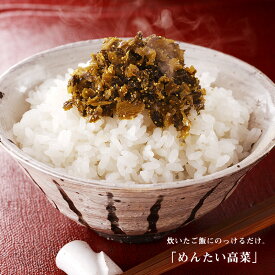 博多華味鳥のめんたい高菜（100g）【公式通販】