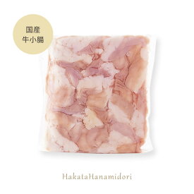 国産牛小腸カット（250g）【博多華味鳥 公式通販】【クール便商品】