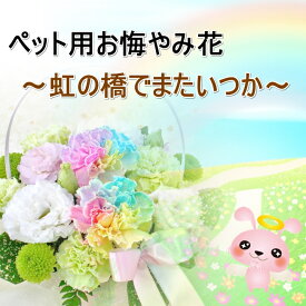 生花 ペット お供え花 お悔やみ花 御供 レインボーカーネーション 贈り物 お供え 愛犬 命日 仏花 四十九日 初盆 お盆 法事 供養 法要 アレンジメント 生花 送料無料