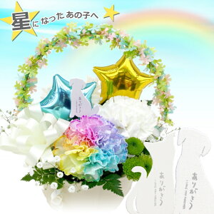 生花 星 アーチ ペット お悔やみ花 御供 贈り物 レインボーカーネーション お供え 愛犬 命日 仏花 四十九日 初盆 お盆 法事 供養 法要 アレンジメント 生花 無料