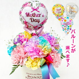 楽天市場 レインボーカーネーションの通販