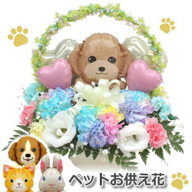 生花 ペット お供え花 お悔やみ花 御供 犬 猫 うさぎ レインボーカーネーション バルーン フラワー ギフト お悔やみ花 贈り物 お供え 愛犬 命日 仏花 四十九日 初盆 お盆 法事 供養 法要 アレンジメント 送料無料