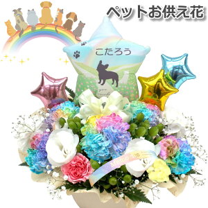  VGbg ybg  ݉ 䋟  L  蕨 C{[ J[l[V o[ Mtg     l\ ~ ~ @ { @v