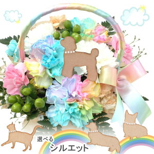  VGbg ybg C{[J[l[V ݉ 䋟 蕨   o[ Mtg   l\ ~ ~ @ { @v AWg