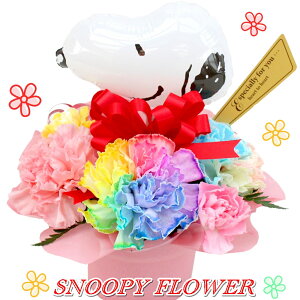 レインボー カーネーションの人気商品 通販 価格比較 価格 Com