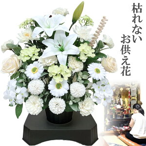 \[vt[  ~ ~ @ @v ފ  AWg ͂Ȃ