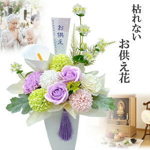 \[vt[  ~ ~ @ @v ފ  AWg ͂Ȃ