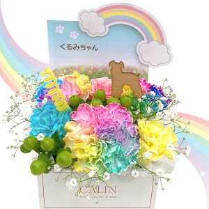  VGbg ybg C{[J[l[V ݉ 䋟 蕨   o[ Mtg   l\ ~ ~ @ { @v AWg