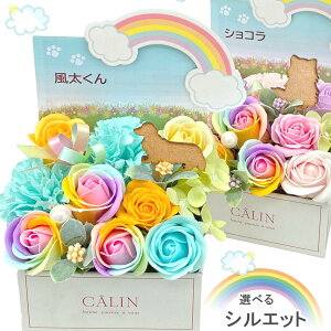 \[vt[ ybg  䋟 ݉  L  蕨     l\ ~ ~ @ { @v