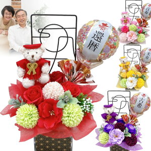 o[ \[vt[ җj j a 񂿂 t[ Mtg Ê  a v[g a