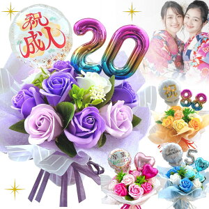 \[vt[ ԑ u[P o[ t[ Mtg l   w a