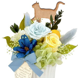 ybg  vU[uht[ ݉  L  NAP[X 蕨     l\ ~ ~ @ { @v