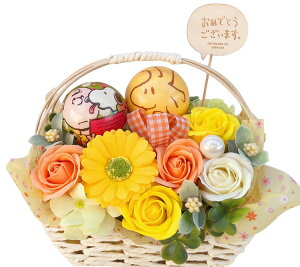 Xk[s[ \[vt[ V{t[  w Mtg v[g ̓ AW