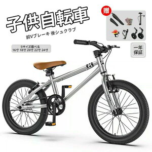 キッズ 自転車 マウンテンバイク 20インチ」の人気商品一覧・価格比較 