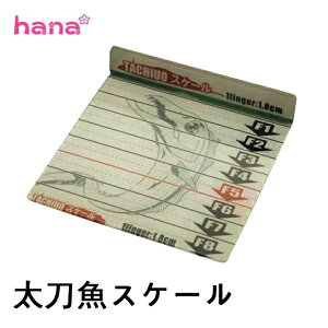 太刀魚スケール 簡易スケール プレート PET 釣り タチウオ スケール フィッシングメジャー ドラゴン フィンガー メジャー 釣り具 フィッシング 夏 シーズン 海釣り 父の日 母の日 プレゼント